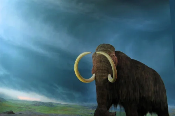 Klónozás: Ősi állatok és a neandervölgyi ember feltámasztása!? Hol tartunk most? klónozás
